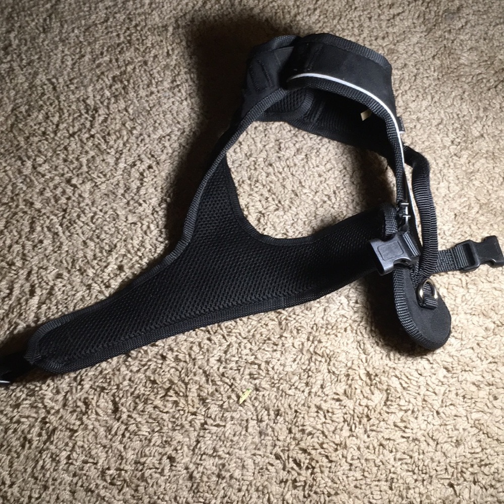 Harness - Picture 4 of 5